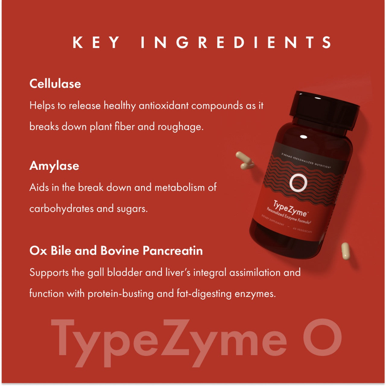 TypeZyme - Digestive Enzyme (Blood Group O) (60 Vegetarian Capsules)